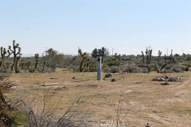 12033 Mountain Road, Pinon Hills, California 92372