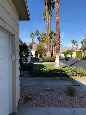 View from Driveway