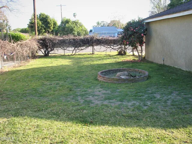 Rear Yard 1