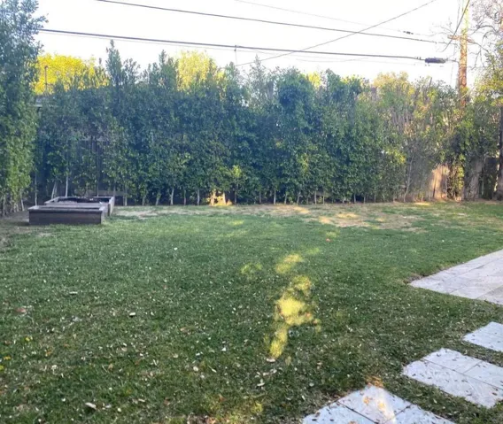backyard