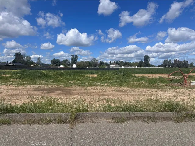 1 White Crane, Atwater, California 95301