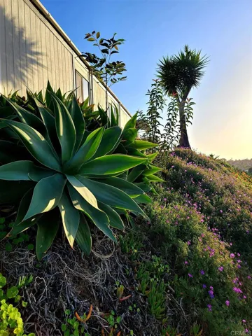1815 Sweetwater Rd 142, Spring Valley, California 91977