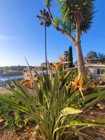1815 Sweetwater Rd 142, Spring Valley, California 91977