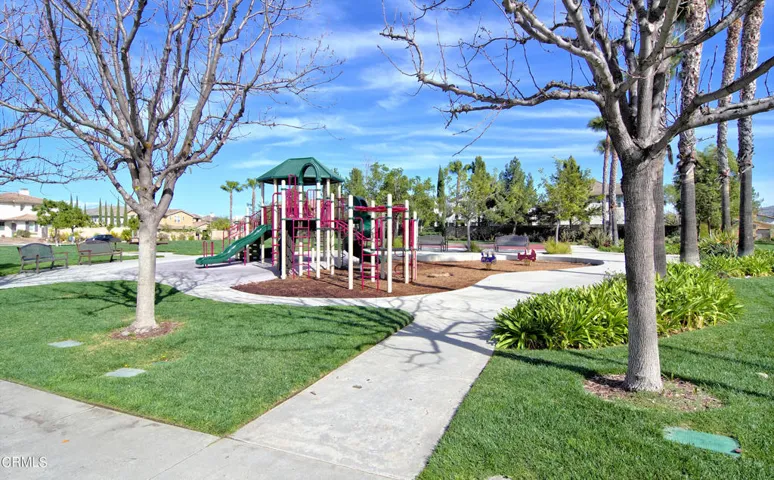 Central Park Play Structure