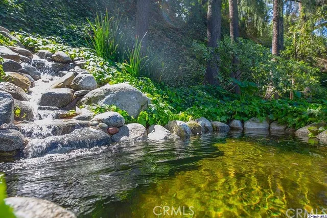 Stream