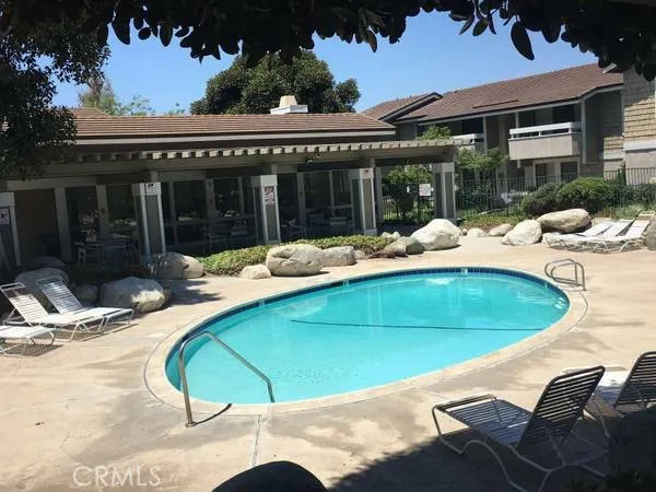 Swimming pool and Jacuzzi