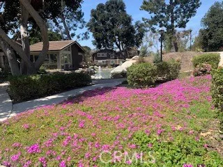 Beautiful garden