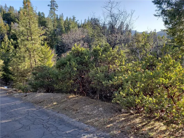 985 Brentwood Drive, Lake Arrowhead, California 92352
