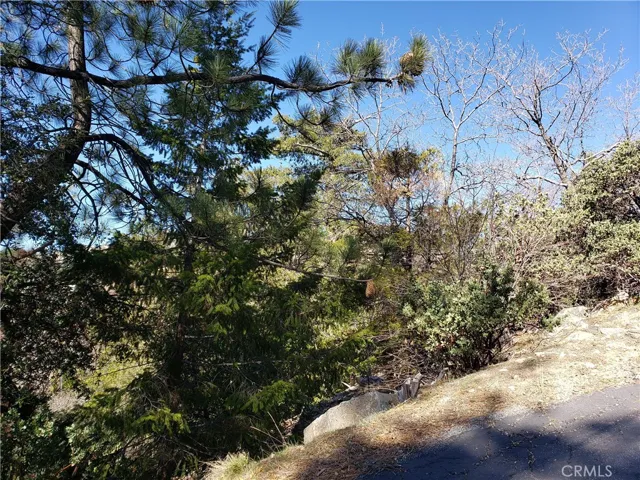 985 Brentwood Drive, Lake Arrowhead, California 92352