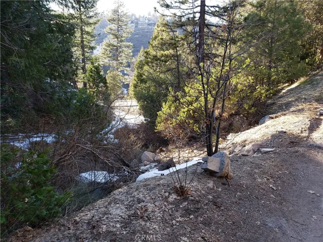 985 Brentwood Drive, Lake Arrowhead, California 92352