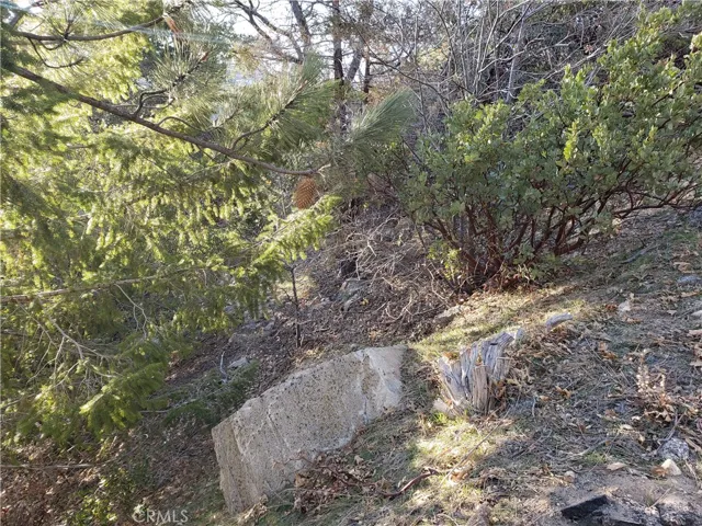 985 Brentwood Drive, Lake Arrowhead, California 92352