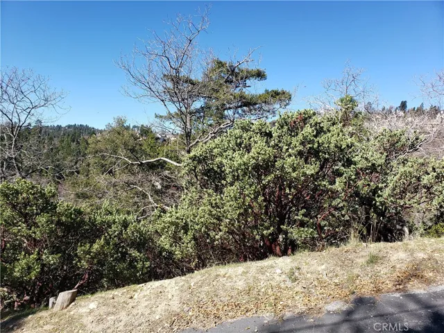 985 Brentwood Drive, Lake Arrowhead, California 92352