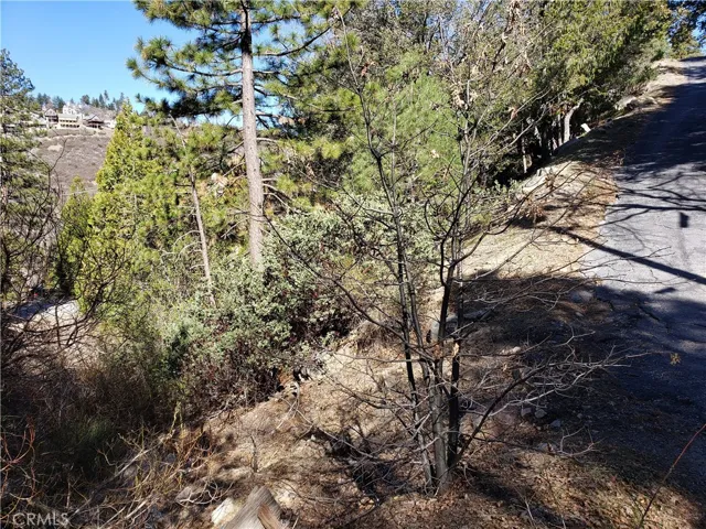 985 Brentwood Drive, Lake Arrowhead, California 92352