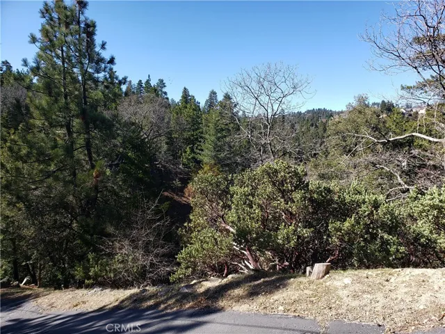 985 Brentwood Drive, Lake Arrowhead, California 92352