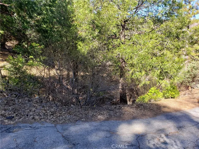 985 Brentwood Drive, Lake Arrowhead, California 92352