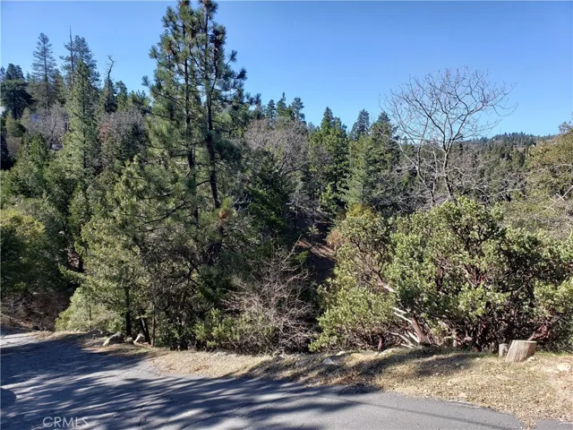 985 Brentwood Drive, Lake Arrowhead, California 92352