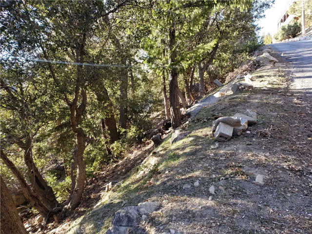 985 Brentwood Drive, Lake Arrowhead, California 92352