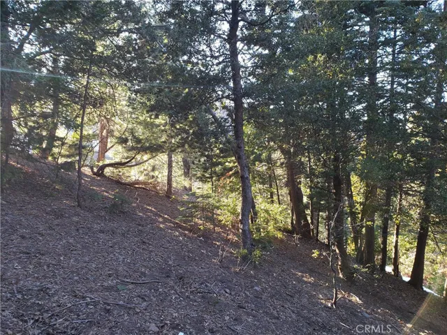 985 Brentwood Drive, Lake Arrowhead, California 92352