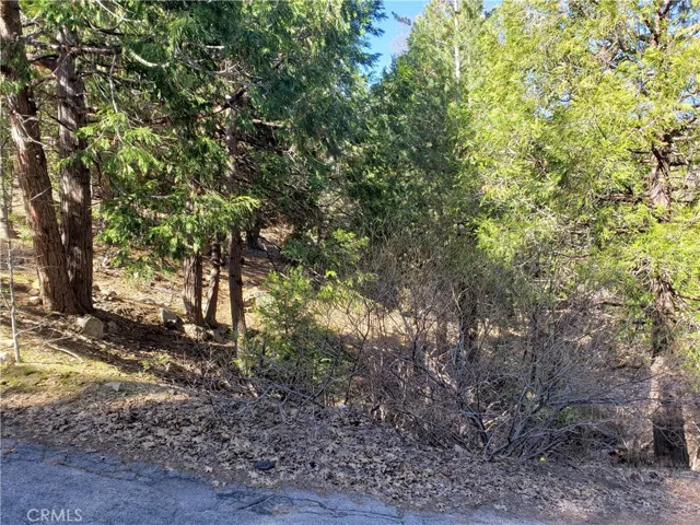 985 Brentwood Drive, Lake Arrowhead, California 92352