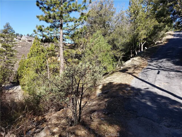 985 Brentwood Drive, Lake Arrowhead, California 92352