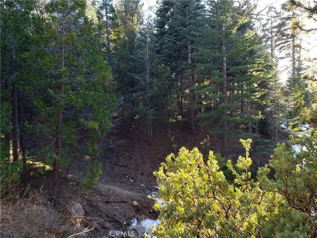 985 Brentwood Drive, Lake Arrowhead, California 92352
