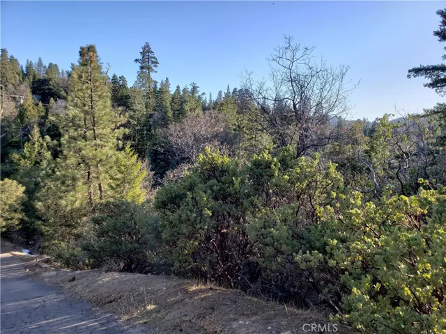 985 Brentwood Drive, Lake Arrowhead, California 92352