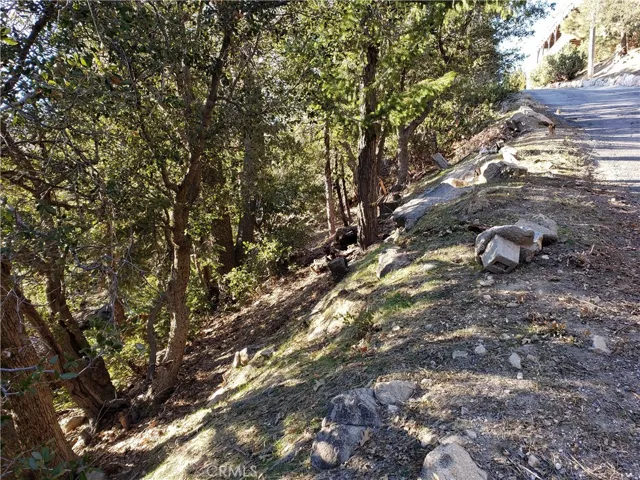 985 Brentwood Drive, Lake Arrowhead, California 92352