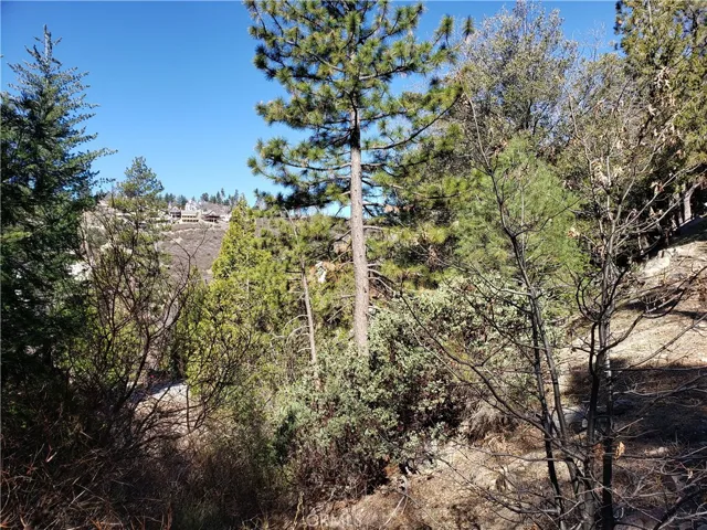 985 Brentwood Drive, Lake Arrowhead, California 92352