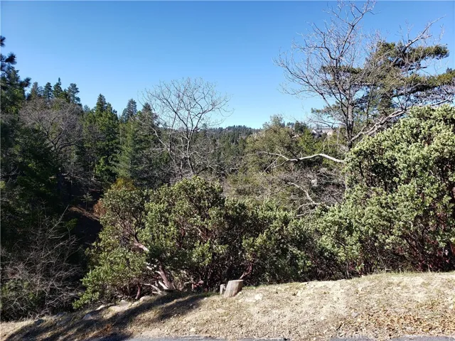 985 Brentwood Drive, Lake Arrowhead, California 92352