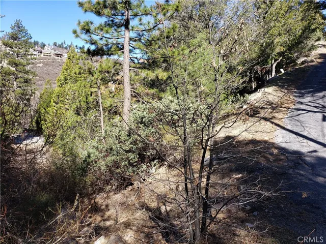 985 Brentwood Drive, Lake Arrowhead, California 92352