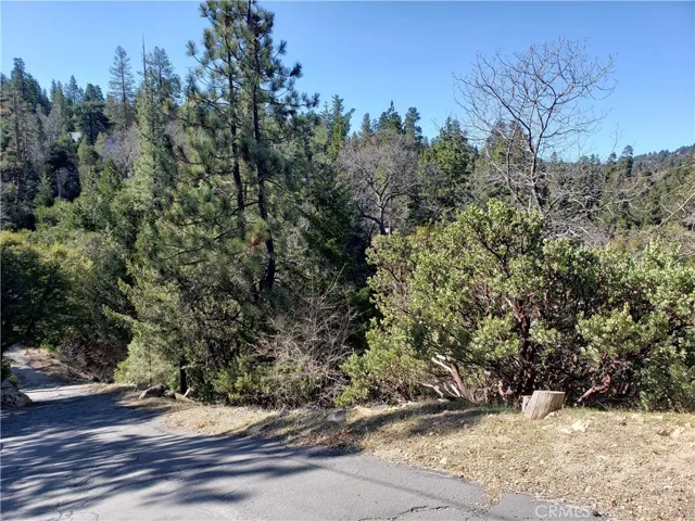985 Brentwood Drive, Lake Arrowhead, California 92352