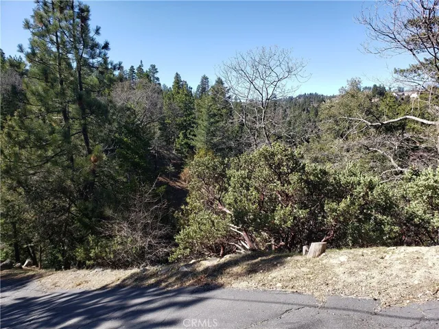 985 Brentwood Drive, Lake Arrowhead, California 92352