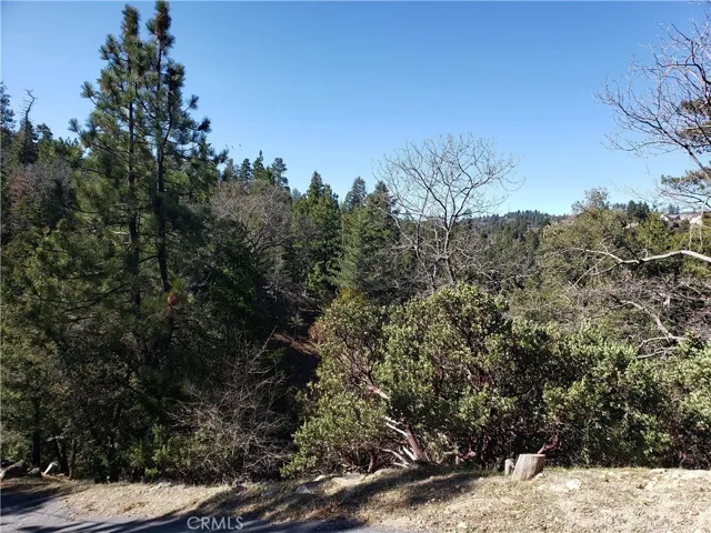 985 Brentwood Drive, Lake Arrowhead, California 92352