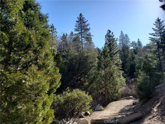 985 Brentwood Drive, Lake Arrowhead, California 92352