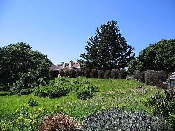 11394 Saddle Road, Monterey, California 93940