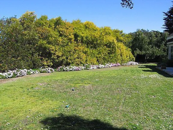 11394 Saddle Road, Monterey, California 93940