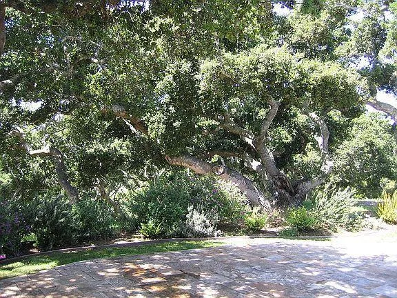 11394 Saddle Road, Monterey, California 93940