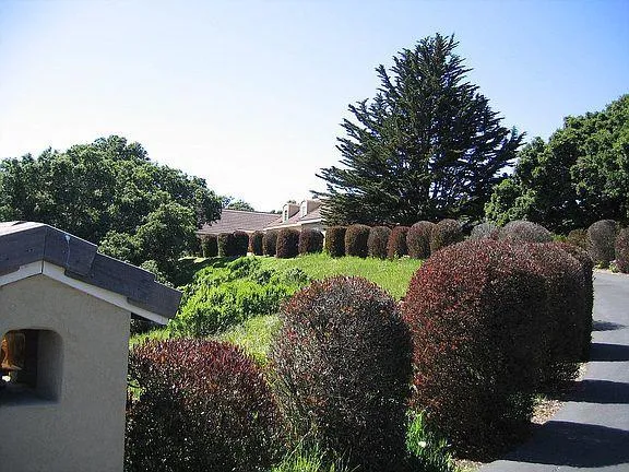 11394 Saddle Road, Monterey, California 93940