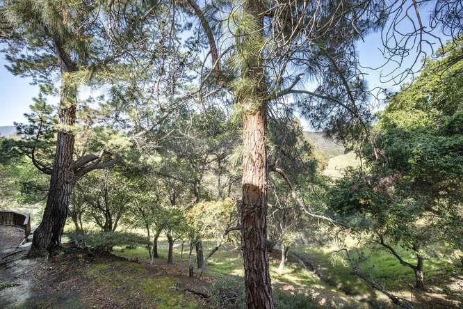 3350 La Mesa Drive 10, San Carlos, California 94070