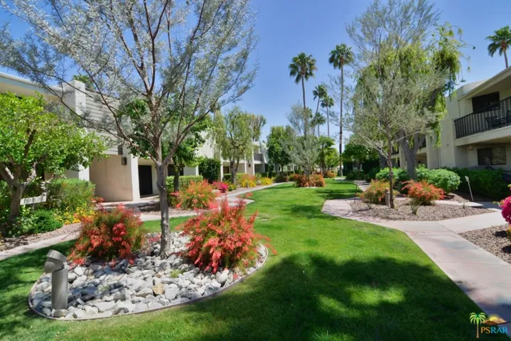 Immaculate Grounds