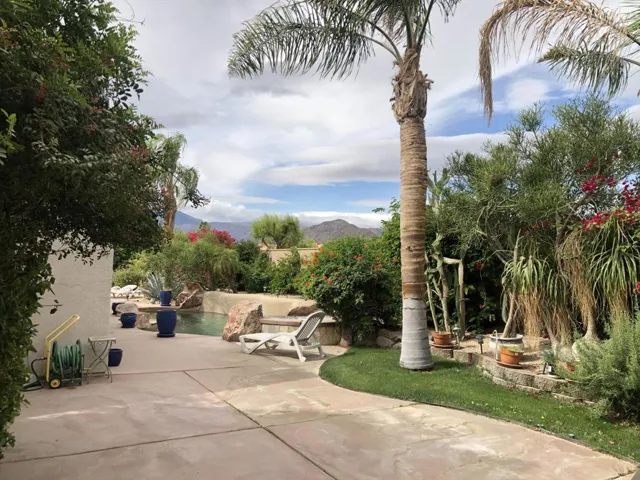 Mountview Backyard