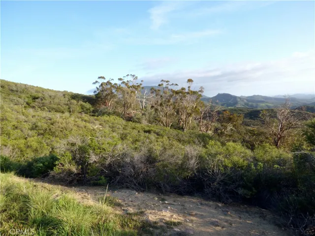 9 Blackstar Canyon, Silverado Canyon, California 92676