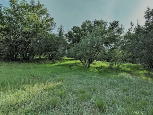 0 Canal Drive, Oroville, California 95966