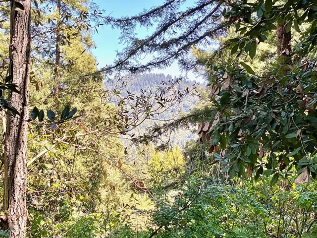 964 Scenic Way, Ben Lomond, California 95005