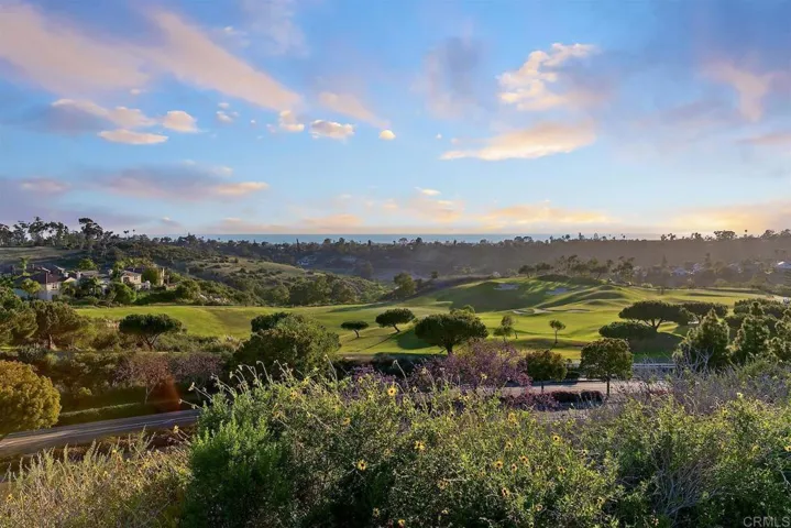 1435 Ravean Court, Encinitas, California 92024