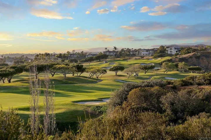 1435 Ravean Court, Encinitas, California 92024