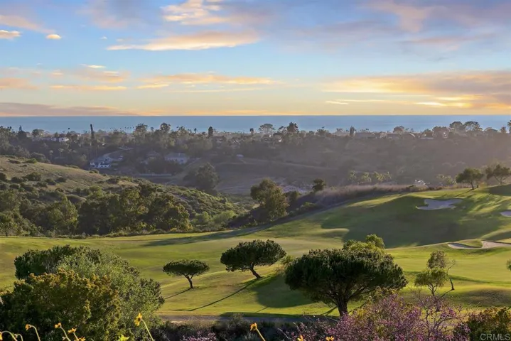 1435 Ravean Court, Encinitas, California 92024