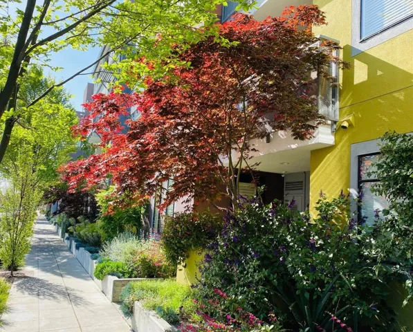 800 High Street 105, Palo Alto, California 94301
