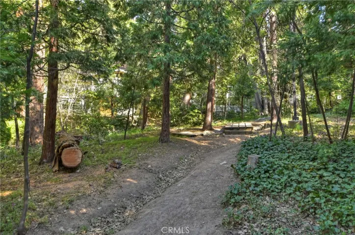 159 Cedar Circle, Lake Arrowhead, California 92352