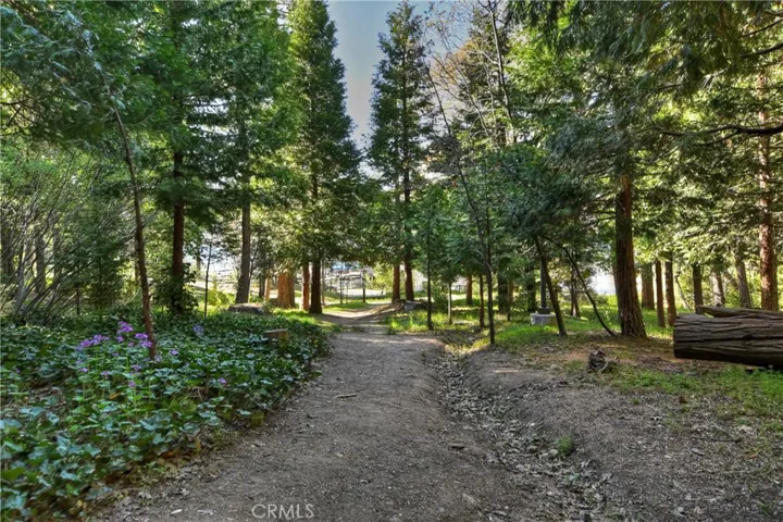 159 Cedar Circle, Lake Arrowhead, California 92352